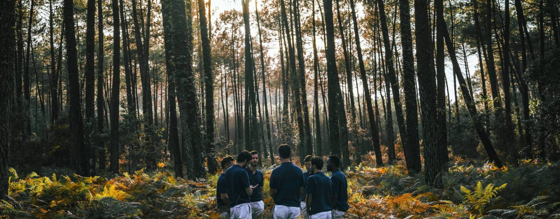 BDA ©AngéliqueDevérité_petit