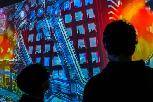 Méta Morphose ©DominiqueChauvin