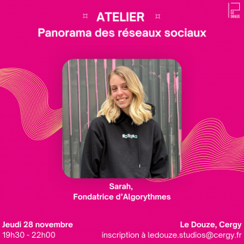 Atelier Sarah - Panorama des réseaux sociaux