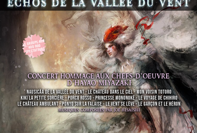 Neko Light Orchestra - Echos de la Vallée du Vent